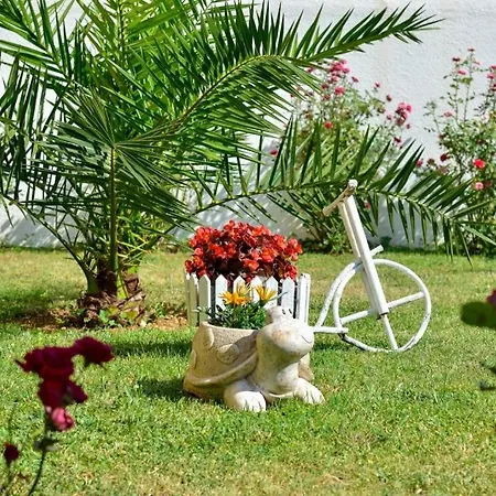 Guesthouse Drage Apartman Drage